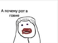 424x313