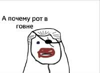 424x313