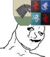 532x608
