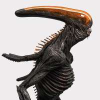 1080x1080