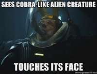 400x306
