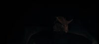 856x386