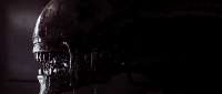 540x230