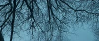 1920x804