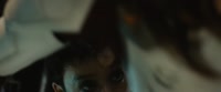 1022x428