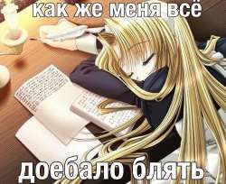 500x408