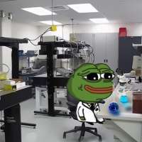 480x480