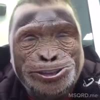 360x360