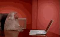 220x139