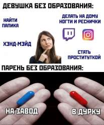 895x1080