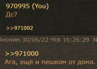 233x167