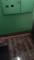576x1016