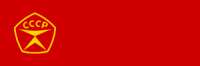 300x100