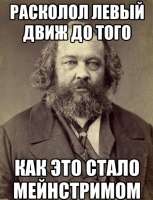 449x586
