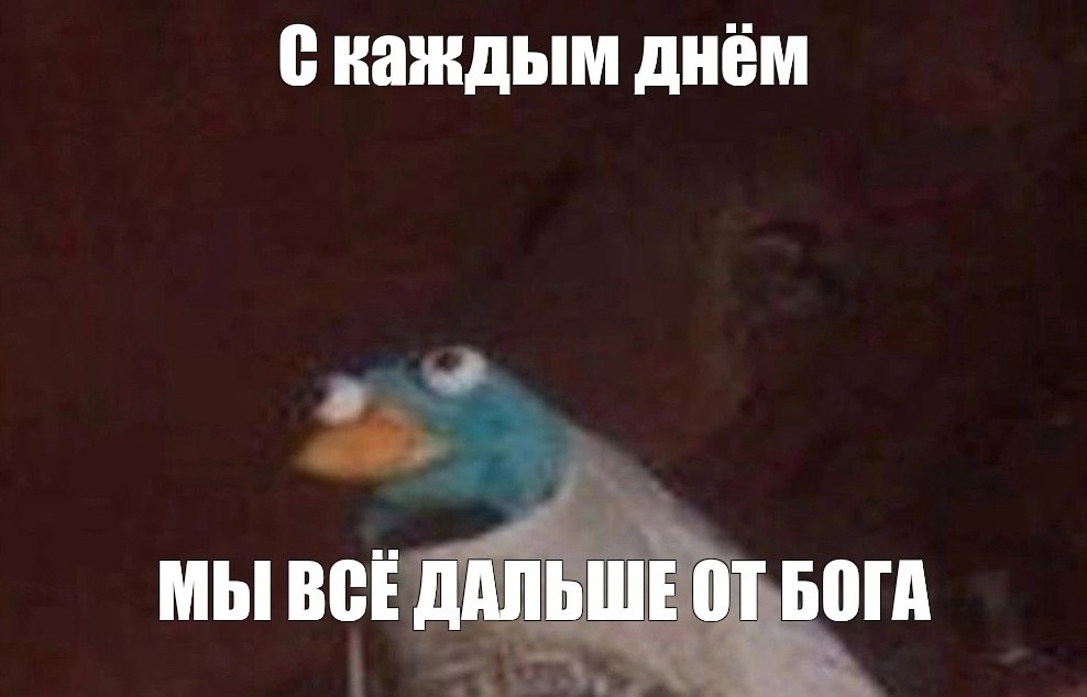 988x634