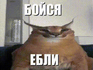 320x240