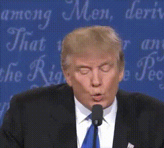 320x290