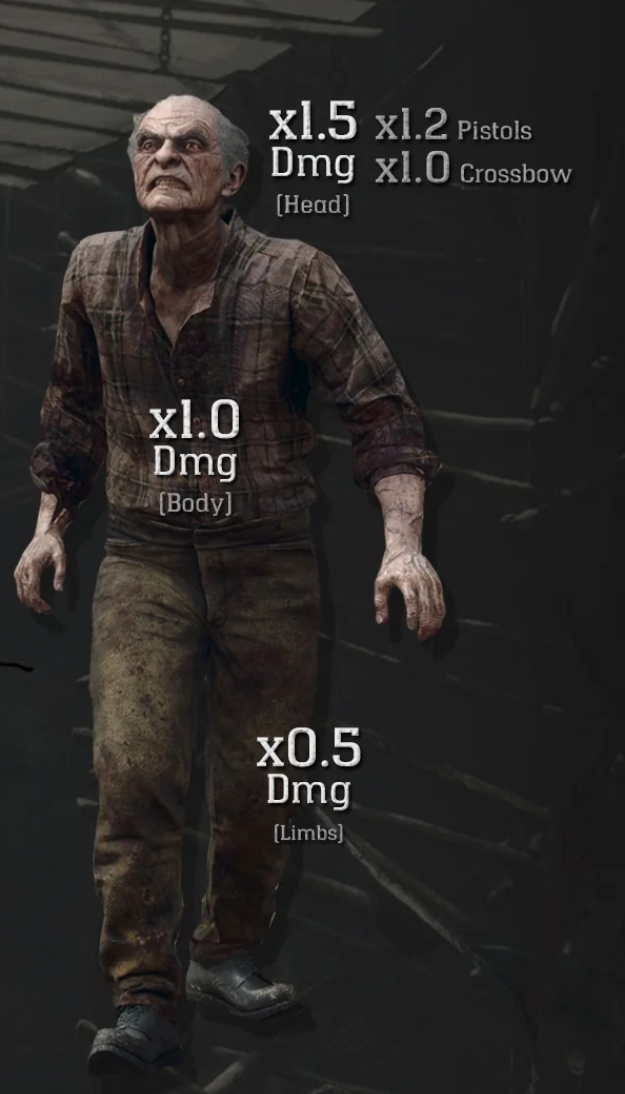 625x1094