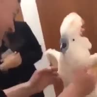 360x360