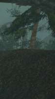 480x854