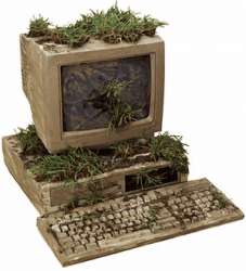 300x330