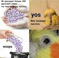 500x495
