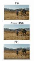 550x960