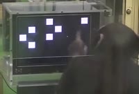 352x240