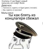 536x608