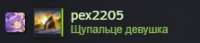 223x48