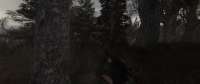 2560x1080