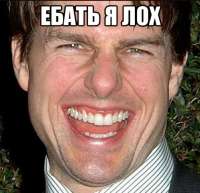 498x483