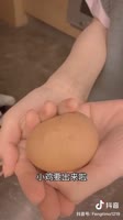406x720