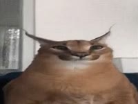 340x256