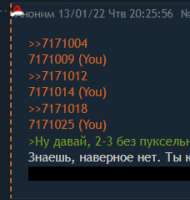 228x239