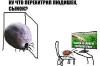 1200x800