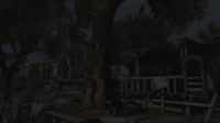 1280x720