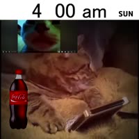720x720