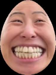 254x336