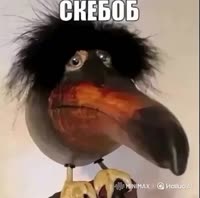 580x576