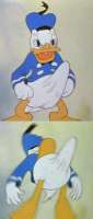 500x1170