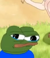 278x320