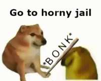 498x404