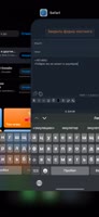 888x1920