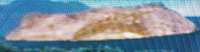 1200x314