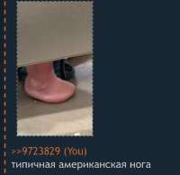 776x756