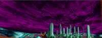 1117x423