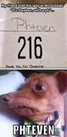 446x903