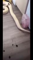 360x640