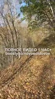 360x640